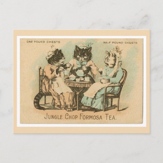 Formosa Tea Cats Briefkaart (Voorkant)