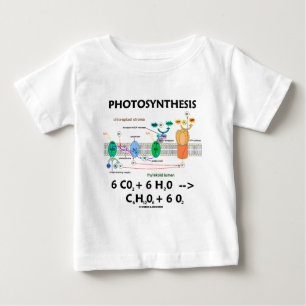 Formule voor fotosynthese (chemisch)