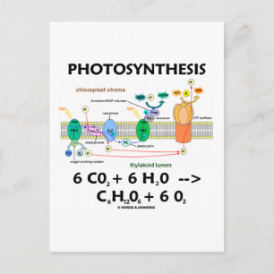 Formule voor fotosynthese (chemisch) briefkaart