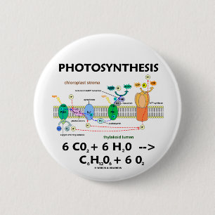 Formule voor fotosynthese (chemisch) ronde button 5,7 cm