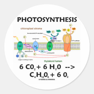 Formule voor fotosynthese (chemisch) ronde sticker