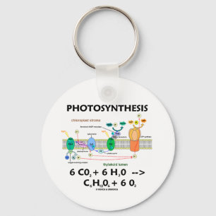 Formule voor fotosynthese (chemisch) sleutelhanger