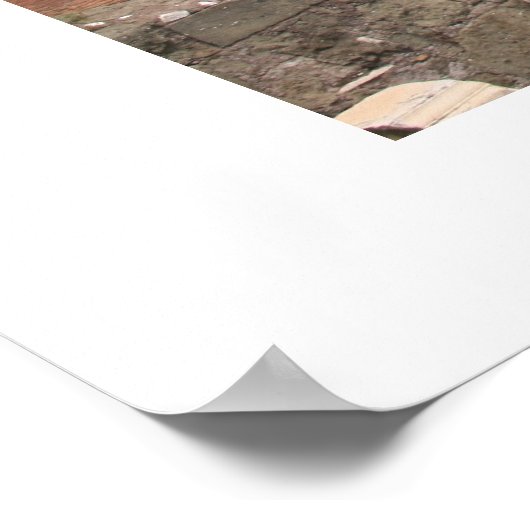 Foro di Traiano Panorama Poster (Hoek)