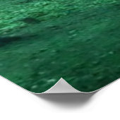 Forrest Dragon Poster (Hoek)