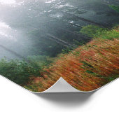 Forrest Fog Pine Trees Waarde Poster Papier (Hoek)