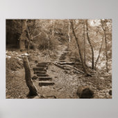 Forrest Steps XL Canvas Poster (Voorkant)