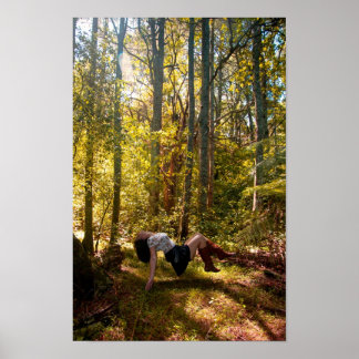 Forrest van dromen poster
