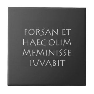Forsan et haec olim meminisse iuvabit tegeltje