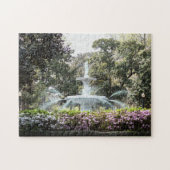 Forsyth Fountain Savannah uitdagend Puzzle Legpuzzel (Horizontaal)