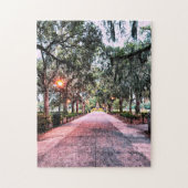Forsyth Park Evening Puzzle (Vertical)