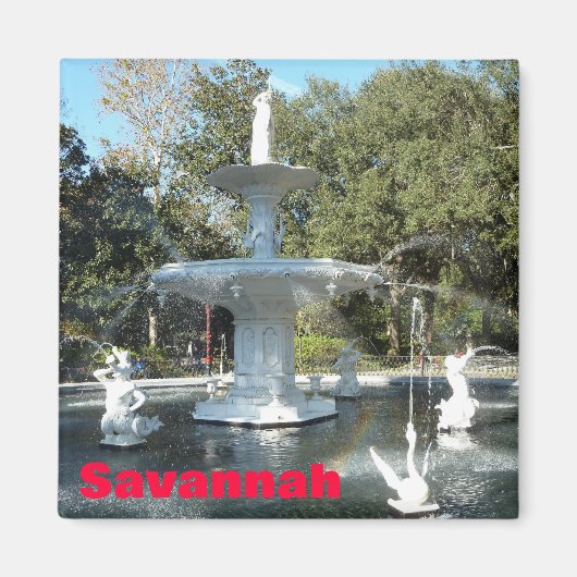 Forsyth Park Savannah Fontein Fotomagneet Magneet (Voorkant)