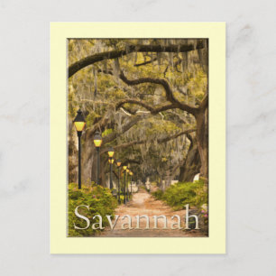Forsyth Park - Savannah, GA Briefkaart