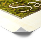 Forsyth Park - Savannah, GA Poster (Hoek)