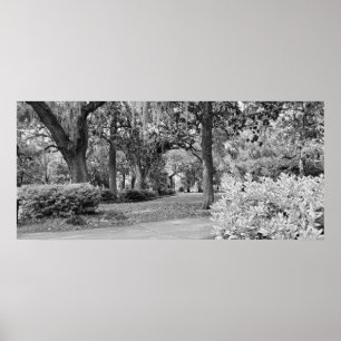 Forsyth Park, Savannah Ga Poster