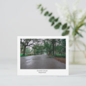 Forsyth Park Savannah Georgia Briefkaart (Staand voorkant)