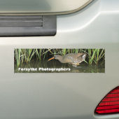 Forsythe Fotografen de Bumpersticker van de Groep  (Op auto)