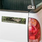 Forsythe Fotografen de Bumpersticker van de Groep  (Op Truck)