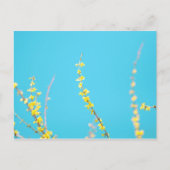 Forsythia 3 briefkaart (Voorkant)