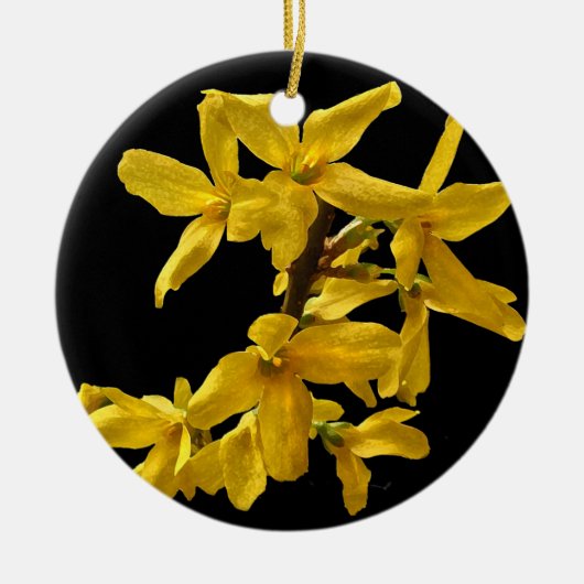 Forsythia Ornament (Voorkant)