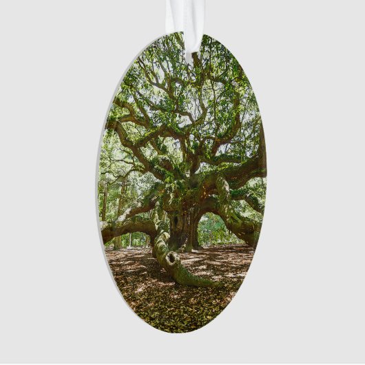 Fort et audacieux (devant)