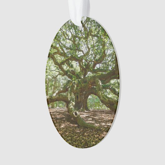 Fort et audacieux (devant)