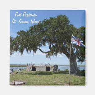 Fort Frederica St. Saint Simons Island Magnet Magneet