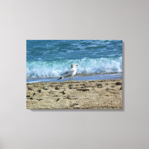 Fort Lauderdale, Florida Canvas Afdruk