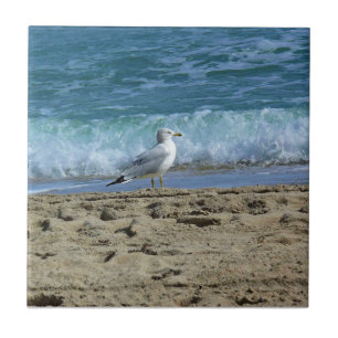 Fort Lauderdale, Florida Tegeltje