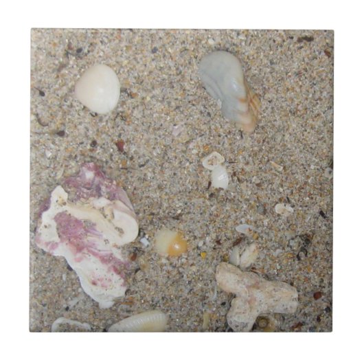 Fort Lauderdale strand zand, schelpen, koraal Tegeltje (Voorkant)