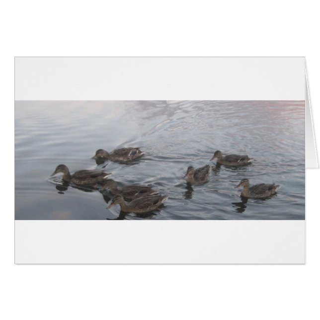 FORT RICHARDSON ALASKA (Devant horizontal)