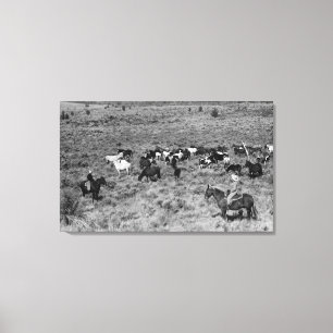 Fort Rock, Oregon Cowboy in de tuin van de duivel Canvas Afdruk