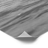 Fort Sumter Poster (Hoek)