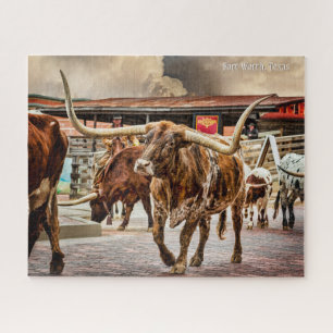 Fort Worth Cattle Drive, Longhorn Legpuzzel