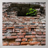 fortuinwandvenster poster (Voorkant)