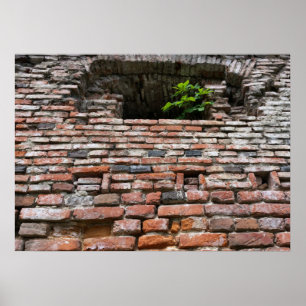 fortuinwandvenster poster