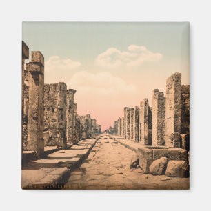 Fortuna Street, Pompeii, Campania, Italië Magneet