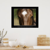 FORTUNATE ~ Chestnut Horse Photo Poster (Cuisine)