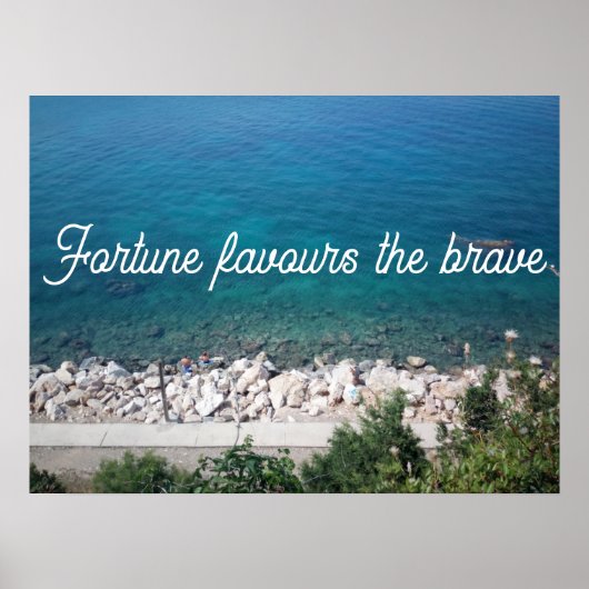 Fortune bevoordeelt het moedige poster van het spr (Voorkant)