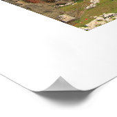 Forum de Nerva Poster (Coin)