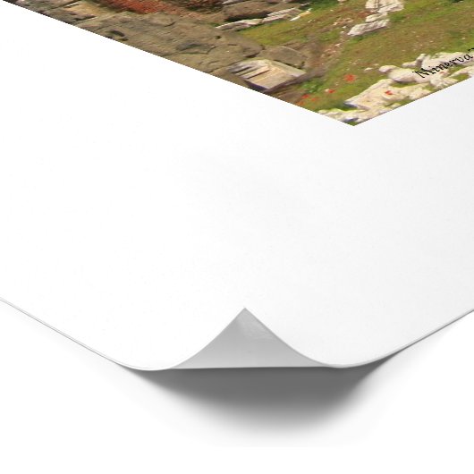 Forum de Nerva Poster (Coin)