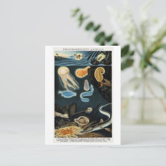 Fosforescerende dieren Briefkaart (Staand voorkant)