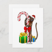 Fossa - carte de vacances (Devant / Derrière)