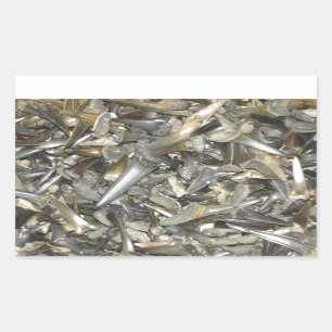 Fossiele haaientanden patroon rechthoekige sticker