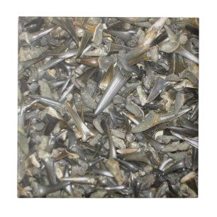 Fossiele haaientanden patroon tegeltje