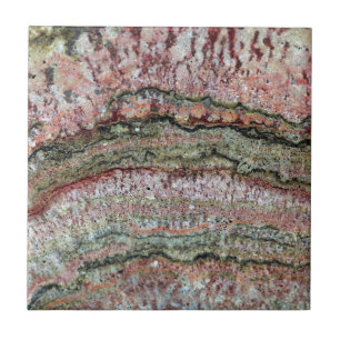 Fossiele stromatolites tegeltje