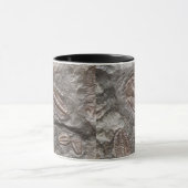 Fossiele trilobites: MOK TRILOBITE FOSSILEN (Midden)