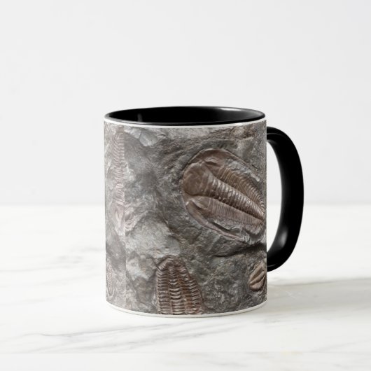 Fossiele trilobites: MOK TRILOBITE FOSSILEN (Voorkant rechts)