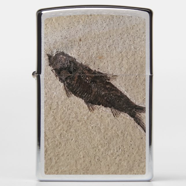 Fossiele vis (Voorkant)