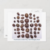 Fossiele zaden briefkaart (Voorkant / Achterkant)