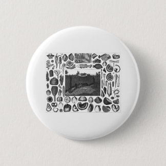 FOSSIELEN RONDE BUTTON 5,7 CM